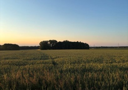 działka na sprzedaż - Strumień (gw), Pruchna