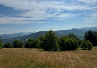 działka na sprzedaż - Brenna